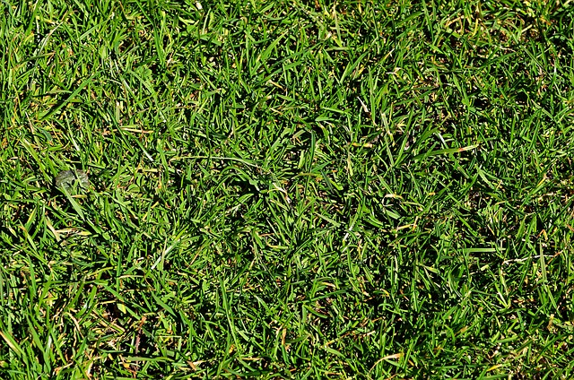 结构热刺